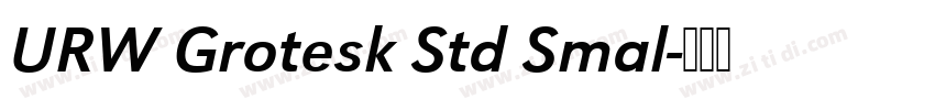 URW Grotesk Std Smal字体转换